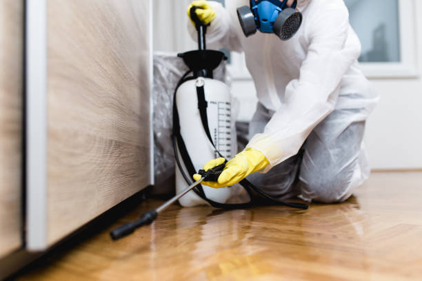 Best Pest Removal Services  in Arapahoe, NE