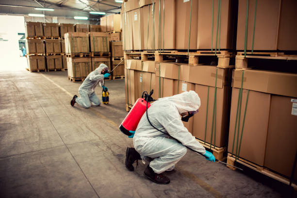 Best Pest Control Near Me in Arapahoe, NE